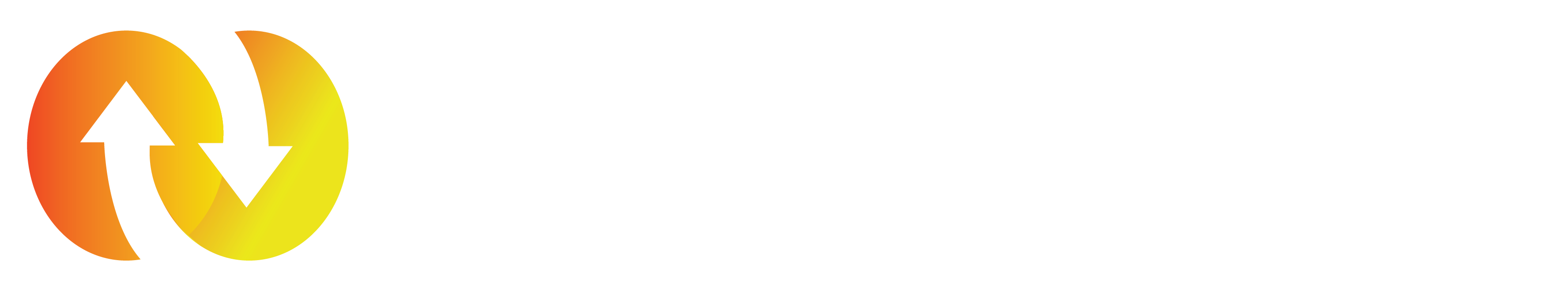 MULTIPLE FREIGHT SOLUTIONS LIMITED